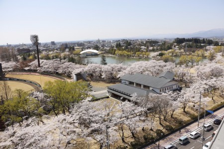 開成山公園まで車で10分